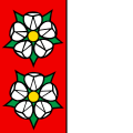 Flag of Auenstein