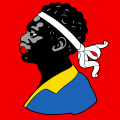 Drapeau de Avenches
