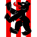 Fahne von Bäriswil
