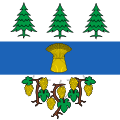 Drapeau de Begnins