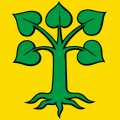 Bandiera di Beinwil (Freiamt)