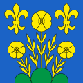 Drapeau de Berg (SG)