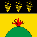 Fahne von Bernex