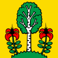 Bandiera di Besenbüren