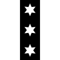 Fahne von Binningen