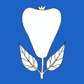 Bandiera di Birwinken