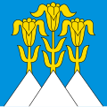 Fahne von Blumenstein