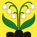 Fahne von Boppelsen