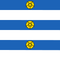 Flag of Borex