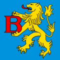 Bandiera di Bosco/Gurin