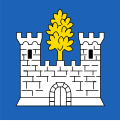 Bandiera di Bovernier