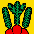Fahne von Bowil