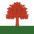 Bandiera di Buch am Irchel