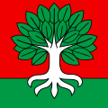 Flag of Buchholterberg