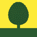 Drapeau de Buchs (ZH)