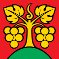 Bandiera di Bühl