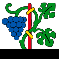 Flag of Buus