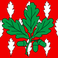 Drapeau de Chêne-Bourg