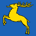 Drapeau de Concise