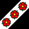 Drapeau de Dintikon