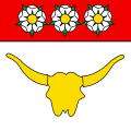 Drapeau de Düdingen