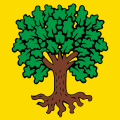 Bandiera di Echallens