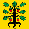 Fahne von Eich