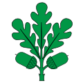 Flag of Eichberg