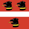 Fahne von Elgg