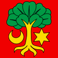 Bandiera di Erlach