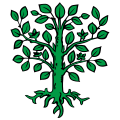 Bandiera di Fey