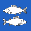 Fahne von Fischenthal