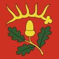 Drapeau de Flaach