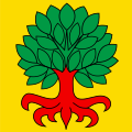 Drapeau de Grosshöchstetten