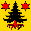 Fahne von Guttannen