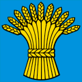 Flag of Gy