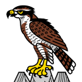 Fahne von Habkern