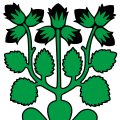 Flag of Hasle (LU)