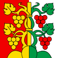 Flag of Hilterfingen