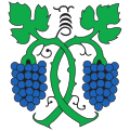 Flag of Jenins