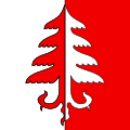 Drapeau de Juriens