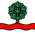 Fahne von Kestenholz