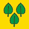 Bandiera di Kriegstetten