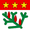 Bandiera di La Praz