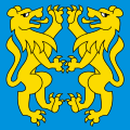 Bandiera di Leuzigen