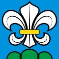 Flag of Lyss
