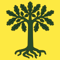 Bandiera di Marthalen