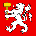 Fahne von Martigny