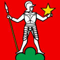 Bandiera di Menziken
