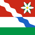 Fahne von Messen